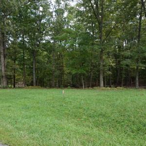 Photo #12 of 0 Eyrie View Drive, Lynchburg, VA 2.2 acres