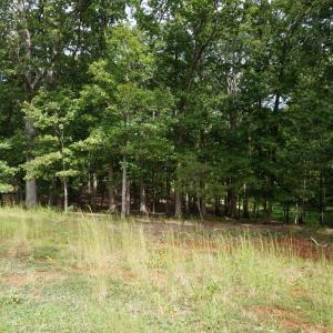 Photo #26 of 0 Eyrie View Drive, Lynchburg, VA 2.2 acres