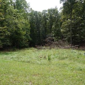 Photo #8 of 0 Eyrie View Drive, Lynchburg, VA 2.2 acres
