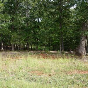 Photo #27 of 0 Eyrie View Drive, Lynchburg, VA 2.2 acres