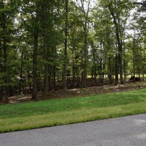 Photo #2 of 0 Eyrie View Drive, Lynchburg, VA 2.2 acres