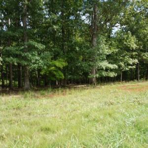 Photo #23 of 0 Eyrie View Drive, Lynchburg, VA 2.2 acres
