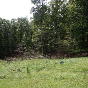 Photo #10 of 0 Eyrie View Drive, Lynchburg, VA 2.2 acres