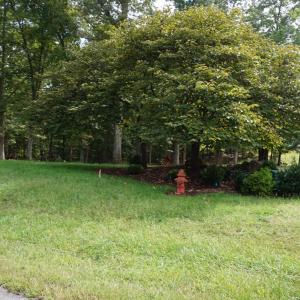 Photo #16 of 0 Eyrie View Drive, Lynchburg, VA 2.2 acres