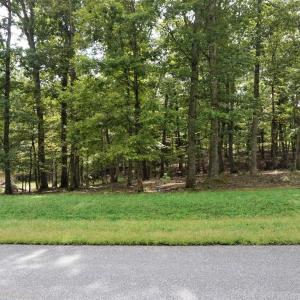 Photo #1 of 0 Eyrie View Drive, Lynchburg, VA 2.2 acres