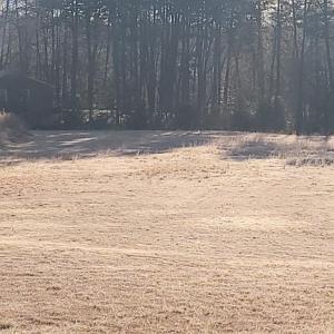 Photo #1 of South Main St, Farmville, VA 1.6 acres
