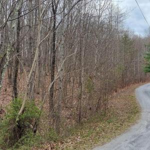Photo #2 of Camellia Lane, Hurt, VA 5.8 acres