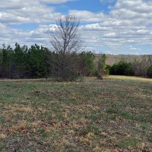 Photo #4 of Hunter Road, Brookneal, VA 5.3 acres