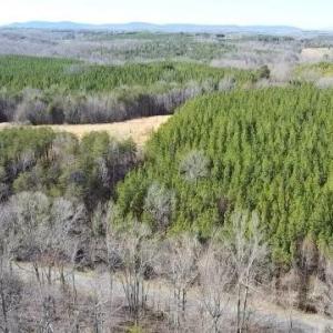 Photo #1 of Red Oak School Road, Rustburg, VA 2.7 acres