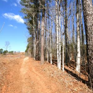 Photo #19 of SOLD property in 0 Grandmas Hill Road, Amherst, VA 105.0 acres