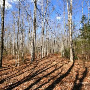 Photo #20 of SOLD property in 0 Grandmas Hill Road, Amherst, VA 105.0 acres