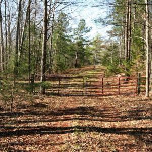 Photo #2 of SOLD property in 0 Grandmas Hill Road, Amherst, VA 105.0 acres