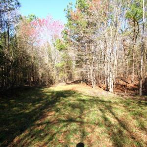 Photo #16 of SOLD property in 0 Grandmas Hill Road, Amherst, VA 105.0 acres