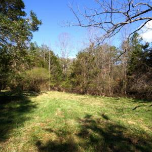 Photo #8 of SOLD property in 0 Grandmas Hill Road, Amherst, VA 105.0 acres