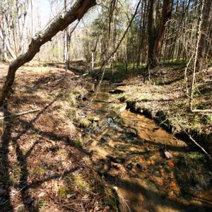 Photo #11 of SOLD property in 0 Grandmas Hill Road, Amherst, VA 105.0 acres