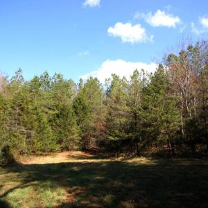 Photo #6 of SOLD property in 0 Grandmas Hill Road, Amherst, VA 105.0 acres