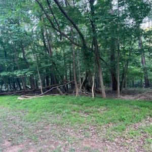 Photo #4 of SOLD property in 0 Lot 52 & 53 Meadow Point Drive, Moneta, VA 0.9 acres