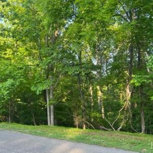 Photo #1 of SOLD property in 0 Lot 52 & 53 Meadow Point Drive, Moneta, VA 0.9 acres