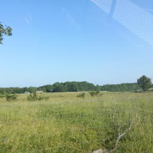 Photo #1 of Lot 17 Brookneal Highway, Gladys, VA 1.0 acres
