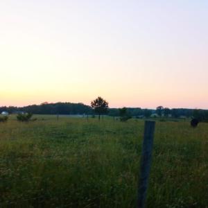 Photo #2 of Lot 19 Marshall Mill Road, Gladys, VA 1.3 acres