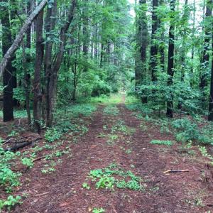Photo #9 of SOLD property in 717 Union Hill Road, Amherst, VA 5.2 acres