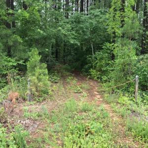 Photo #11 of SOLD property in 717 Union Hill Road, Amherst, VA 5.2 acres