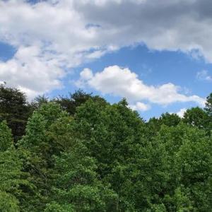 Photo #1 of JEFFERSON DAVIS HWY, SPOTSYLVANIA, VA 3.1 acres