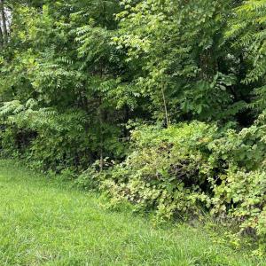 Photo #5 of Crestview Lane, Gretna, VA 1.5 acres