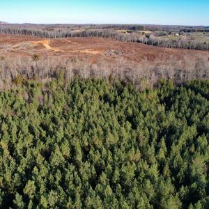 Photo #4 of Plank Road, Dillwyn, VA 30.3 acres