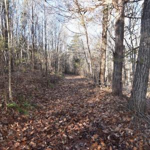 Photo #16 of Plank Road, Dillwyn, VA 30.3 acres