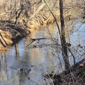 Photo #15 of Plank Road, Dillwyn, VA 30.3 acres