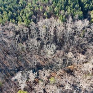 Photo #9 of Plank Road, Dillwyn, VA 30.3 acres