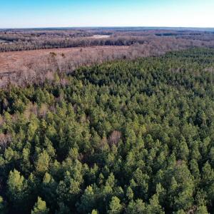 Photo #5 of Plank Road, Dillwyn, VA 30.3 acres