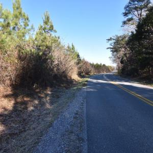 Photo #24 of Plank Road, Dillwyn, VA 30.3 acres