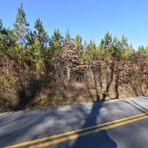 Photo #26 of Plank Road, Dillwyn, VA 30.3 acres
