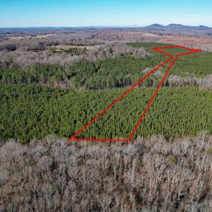 Photo #1 of Plank Road, Dillwyn, VA 30.3 acres