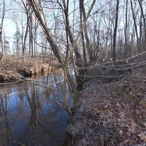 Photo #2 of Plank Road, Dillwyn, VA 30.3 acres