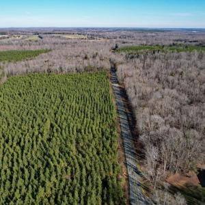 Photo #25 of Plank Road, Dillwyn, VA 30.3 acres