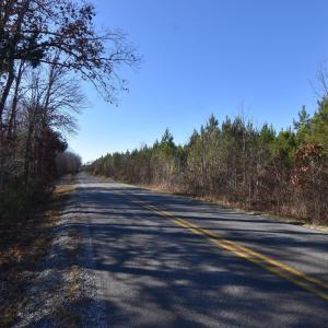 Photo #27 of Plank Road, Dillwyn, VA 30.3 acres