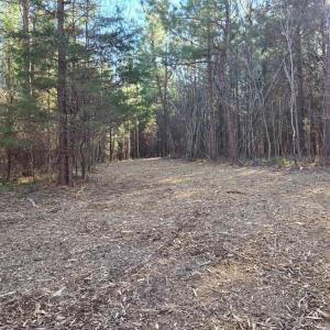 Photo #20 of Plank Road, Dillwyn, VA 30.3 acres