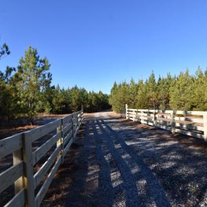 Photo #23 of Plank Road, Dillwyn, VA 30.3 acres