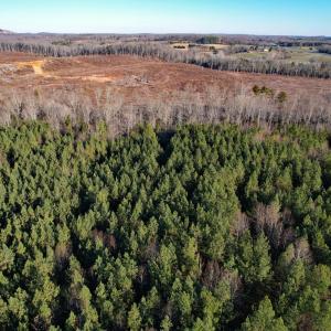 Photo #3 of Plank Road, Dillwyn, VA 30.3 acres