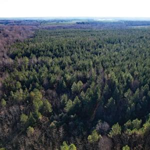 Photo #6 of Plank Road, Dillwyn, VA 30.3 acres