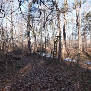 Photo #17 of Plank Road, Dillwyn, VA 30.3 acres