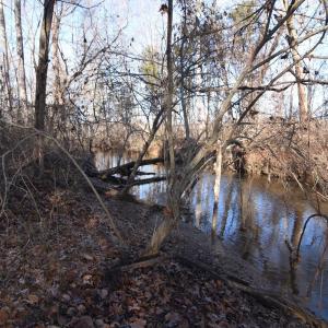 Photo #18 of Plank Road, Dillwyn, VA 30.3 acres