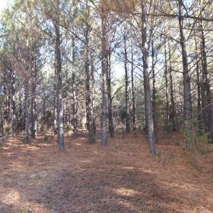 Photo #22 of Plank Road, Dillwyn, VA 30.3 acres