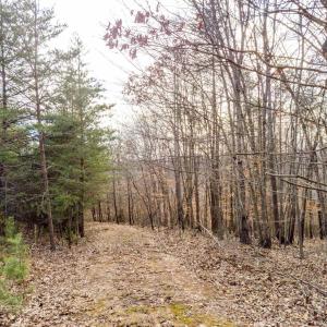 Photo #9 of 0 Red Birch Dr Lot 34, Pittsville, VA 4.9 acres