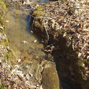 Photo #5 of Hunter Road, Brookneal, VA 5.1 acres