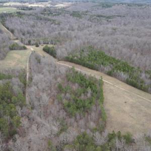 Photo #6 of Hunter Road, Brookneal, VA 5.1 acres