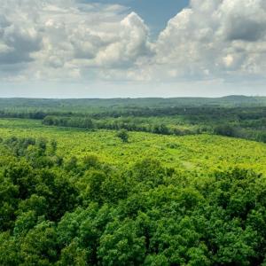 Photo #10 of 937 White Fall Road, Gretna, VA 103.9 acres